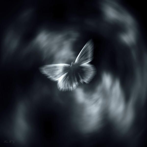 Fluture